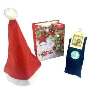 Ladies Santa Surprise