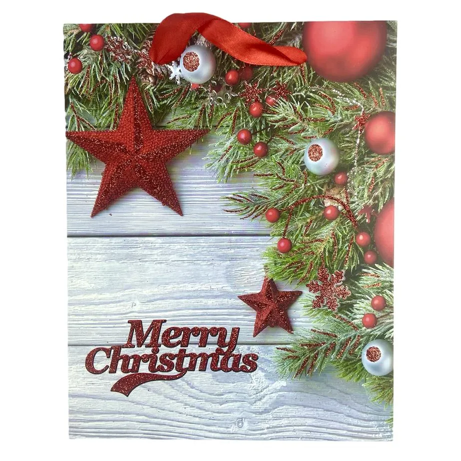 Ladies Santa Surprise