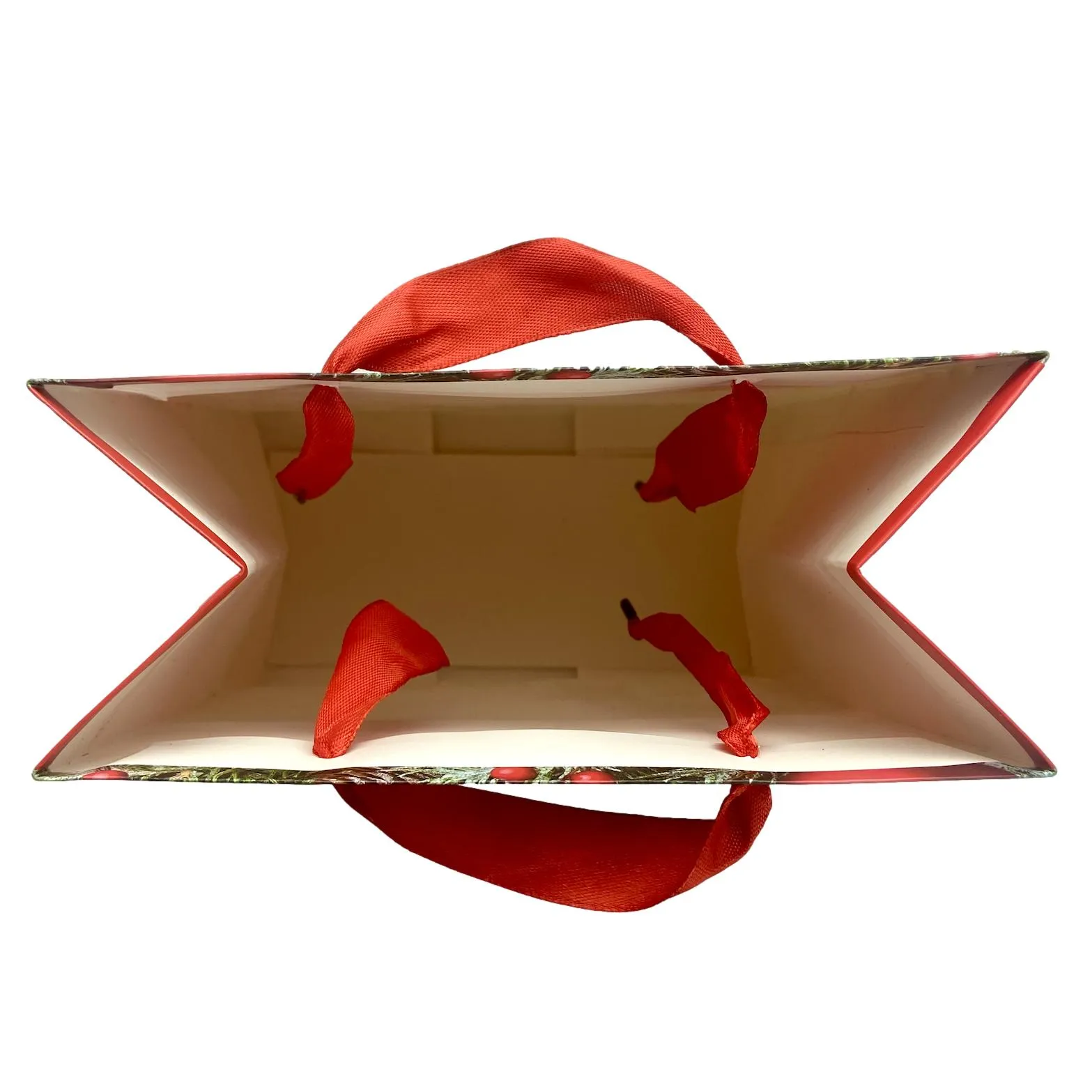 Ladies Santa Surprise