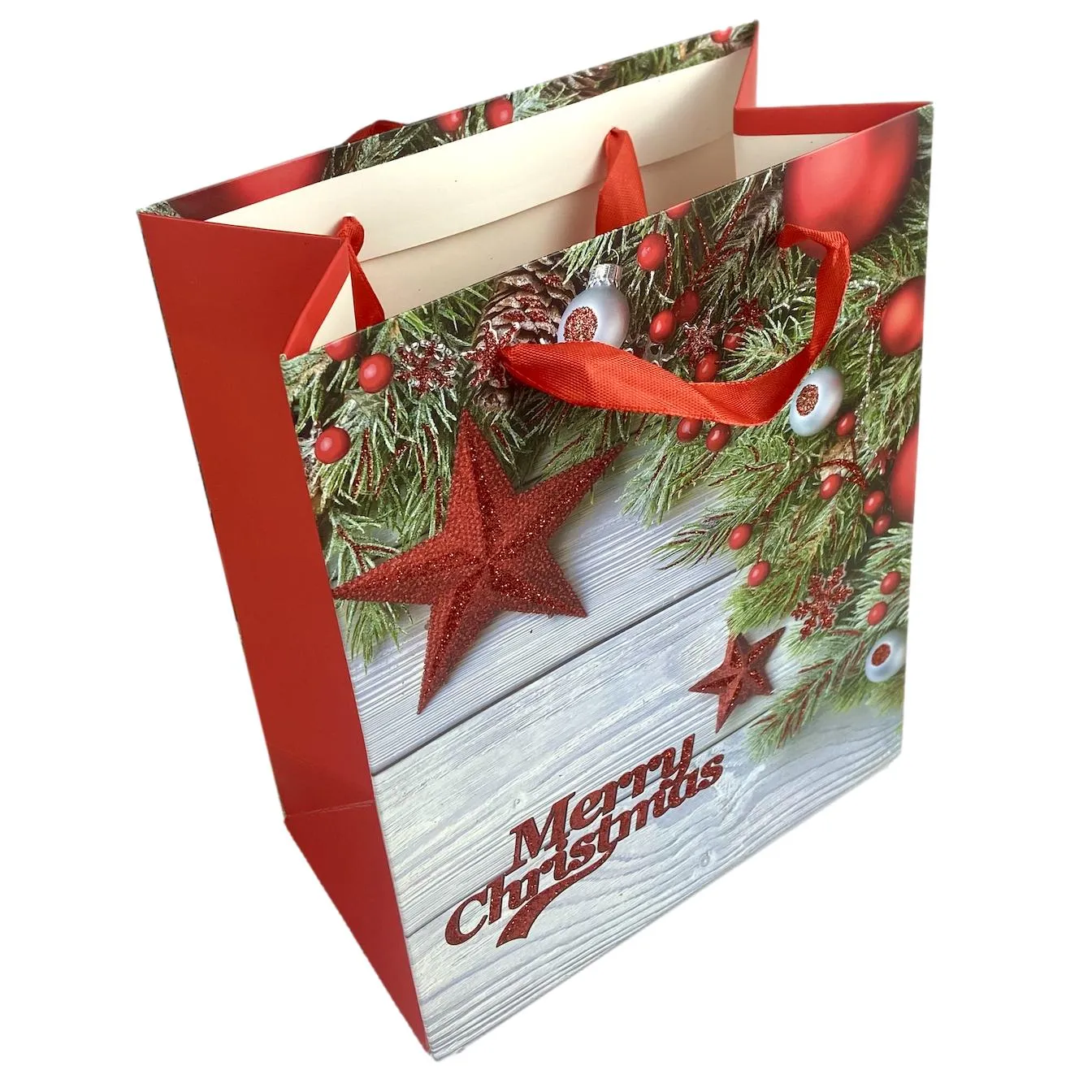 Ladies Santa Surprise